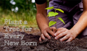 World Environment Day, Did You Know about Eco-Feminism?