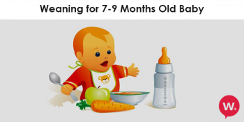Baby Milestones 8 Months