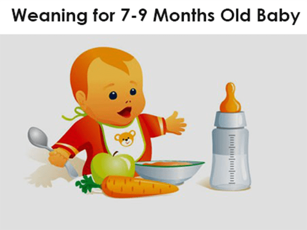 Weaning baby at 9 2024 months