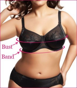 How to measure a right bra